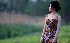 兽性大发之为虎作娼